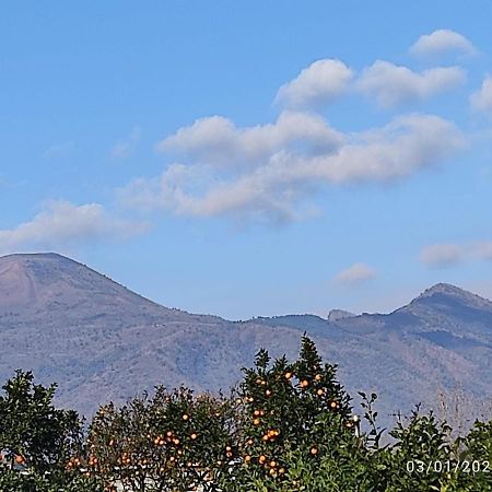 Rosa Vesuviana Bed & Breakfast Boscoreale Bagian luar foto