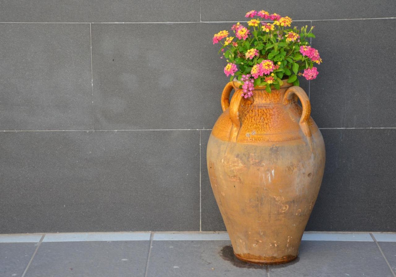 Rosa Vesuviana Bed & Breakfast Boscoreale Bagian luar foto