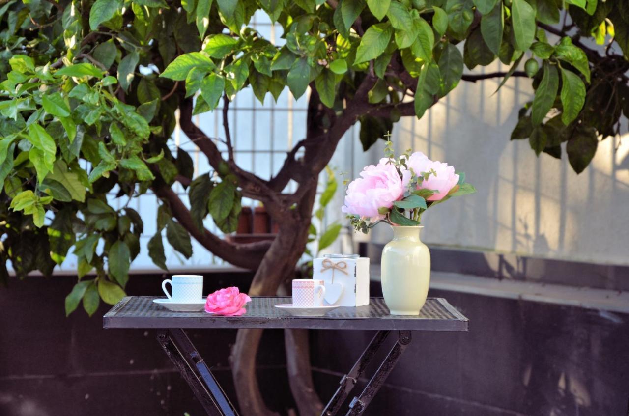 Rosa Vesuviana Bed & Breakfast Boscoreale Bagian luar foto
