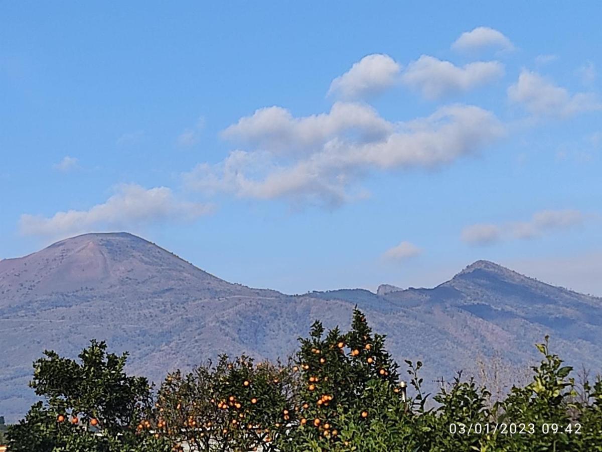 Rosa Vesuviana Bed & Breakfast Boscoreale Bagian luar foto