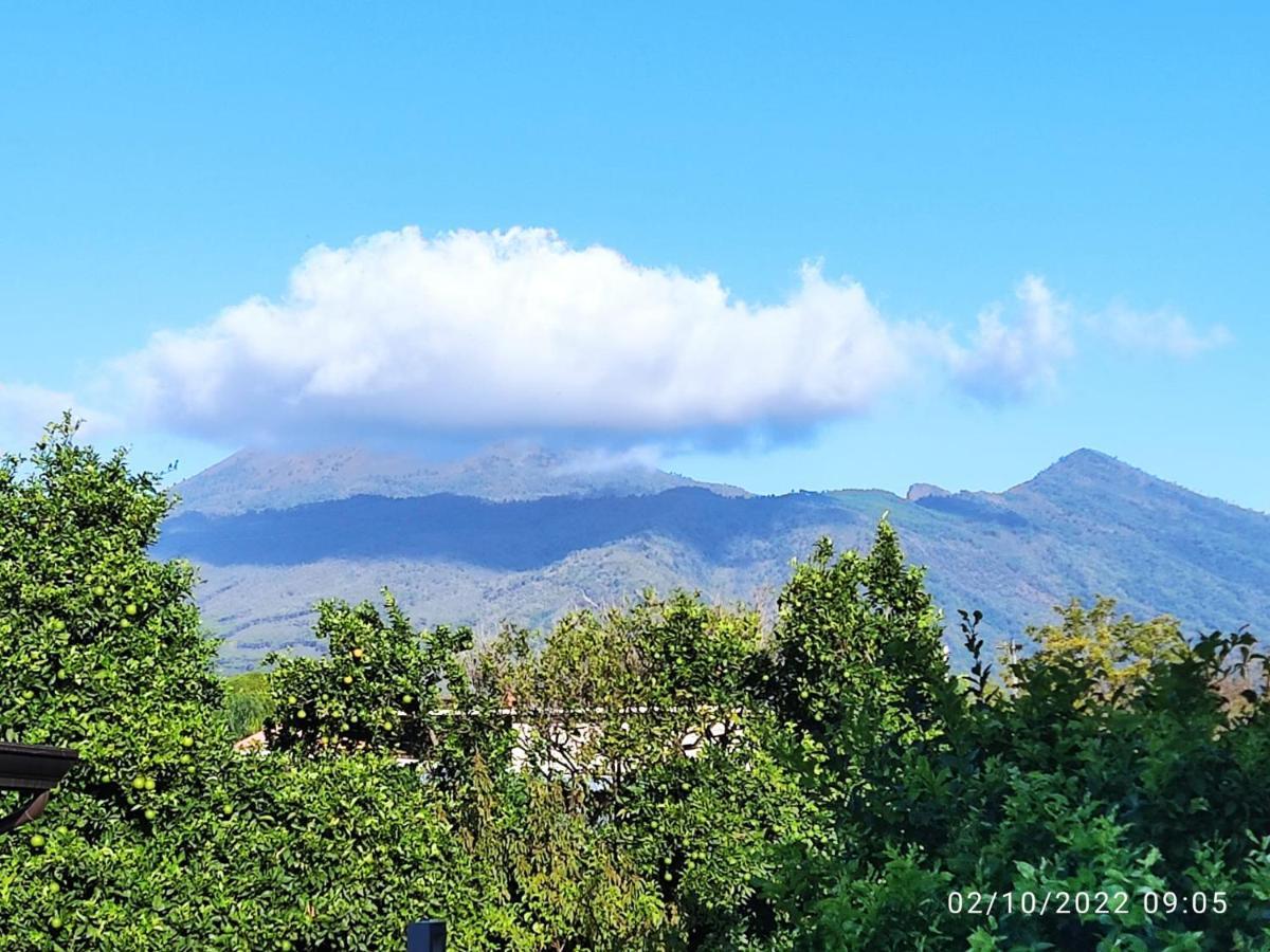 Rosa Vesuviana Bed & Breakfast Boscoreale Bagian luar foto